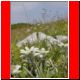 hochturm 2003_22.html
